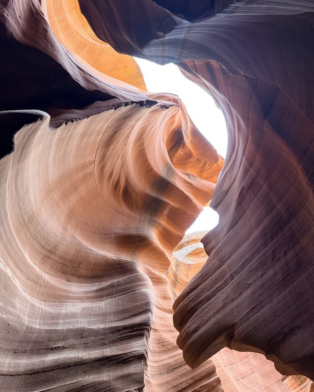 Lower Antelope