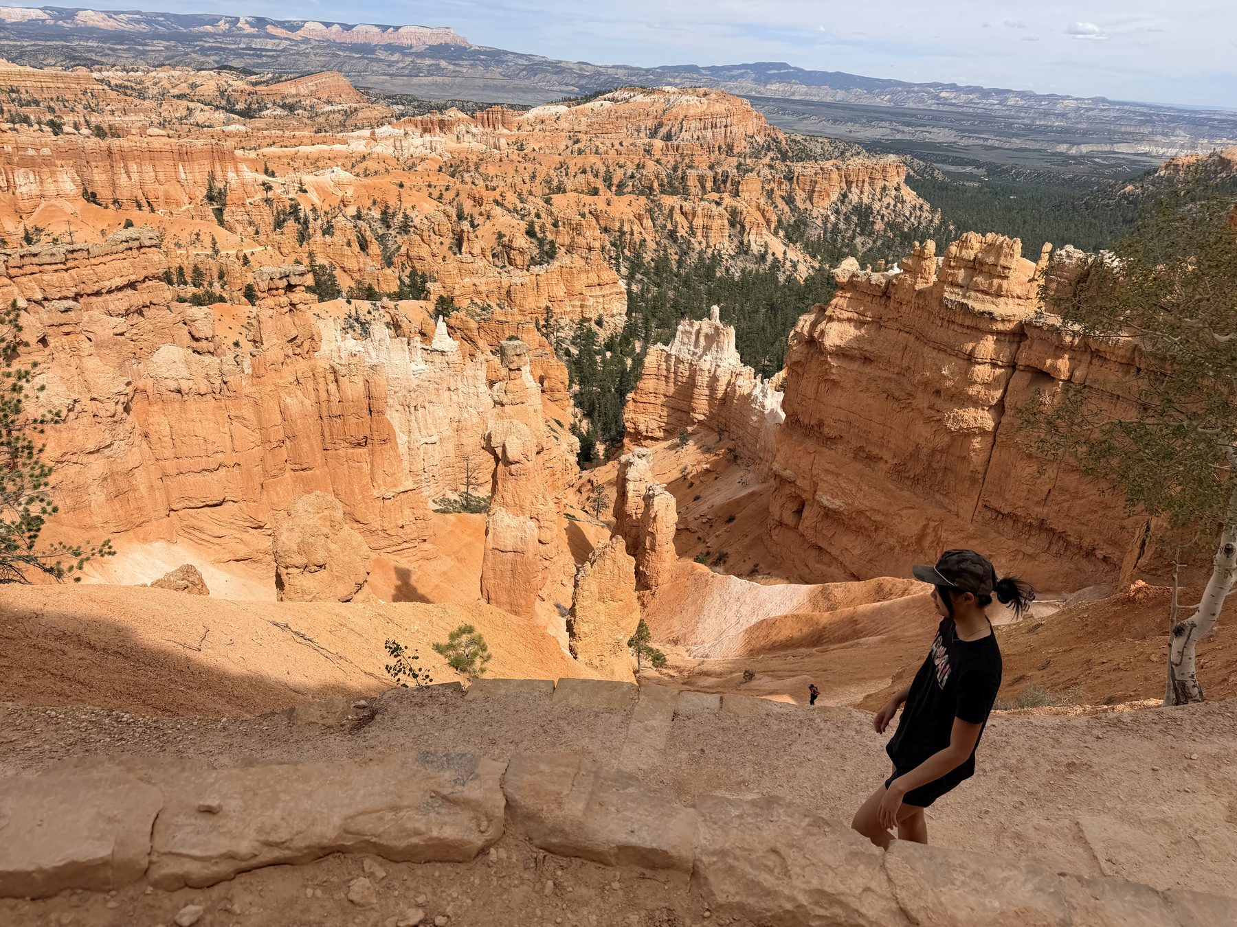 Below the rim on the Navajo Loop, Bryce Canyon · 3:35 PM