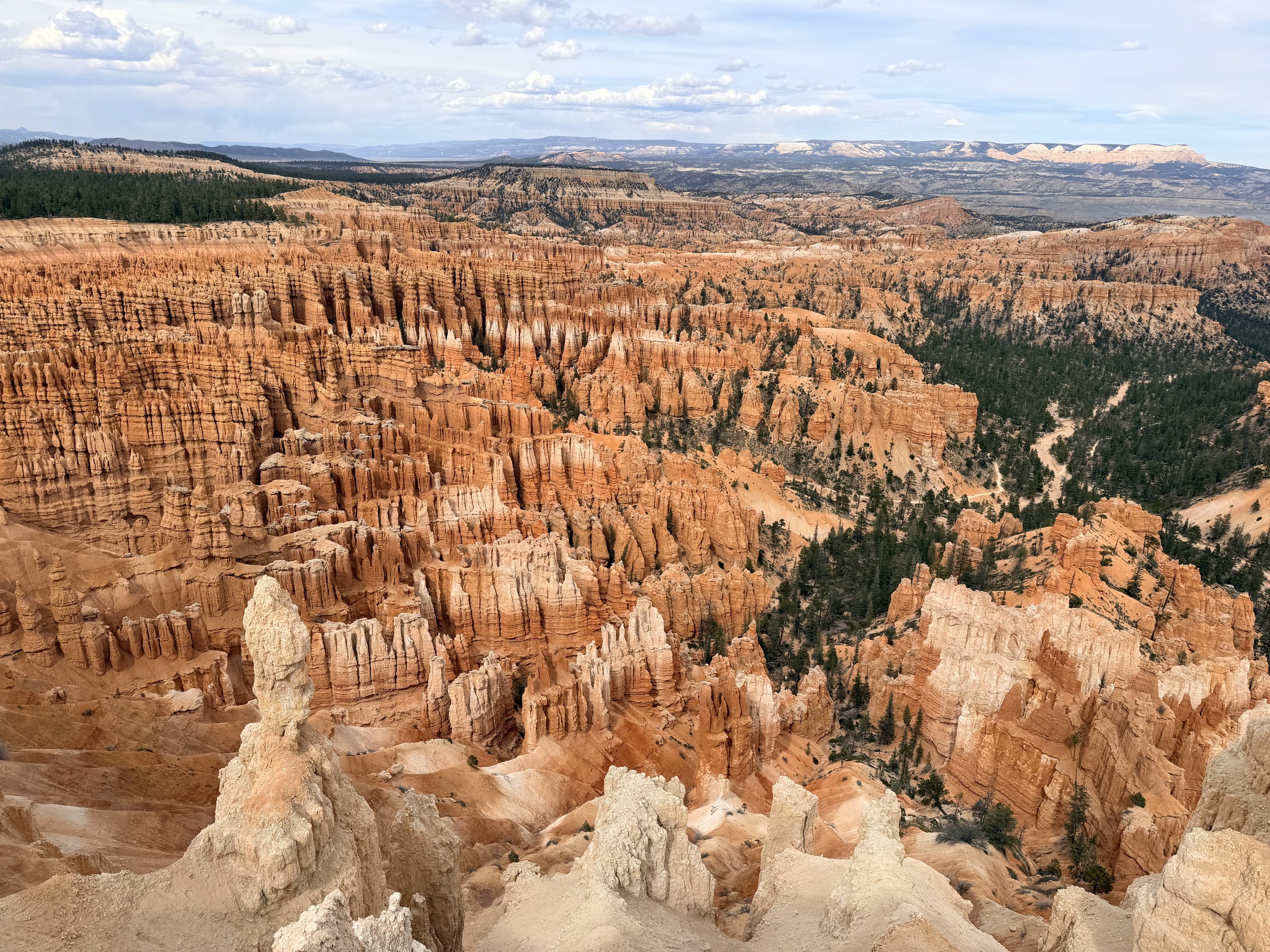 Ten thousand hoodoos