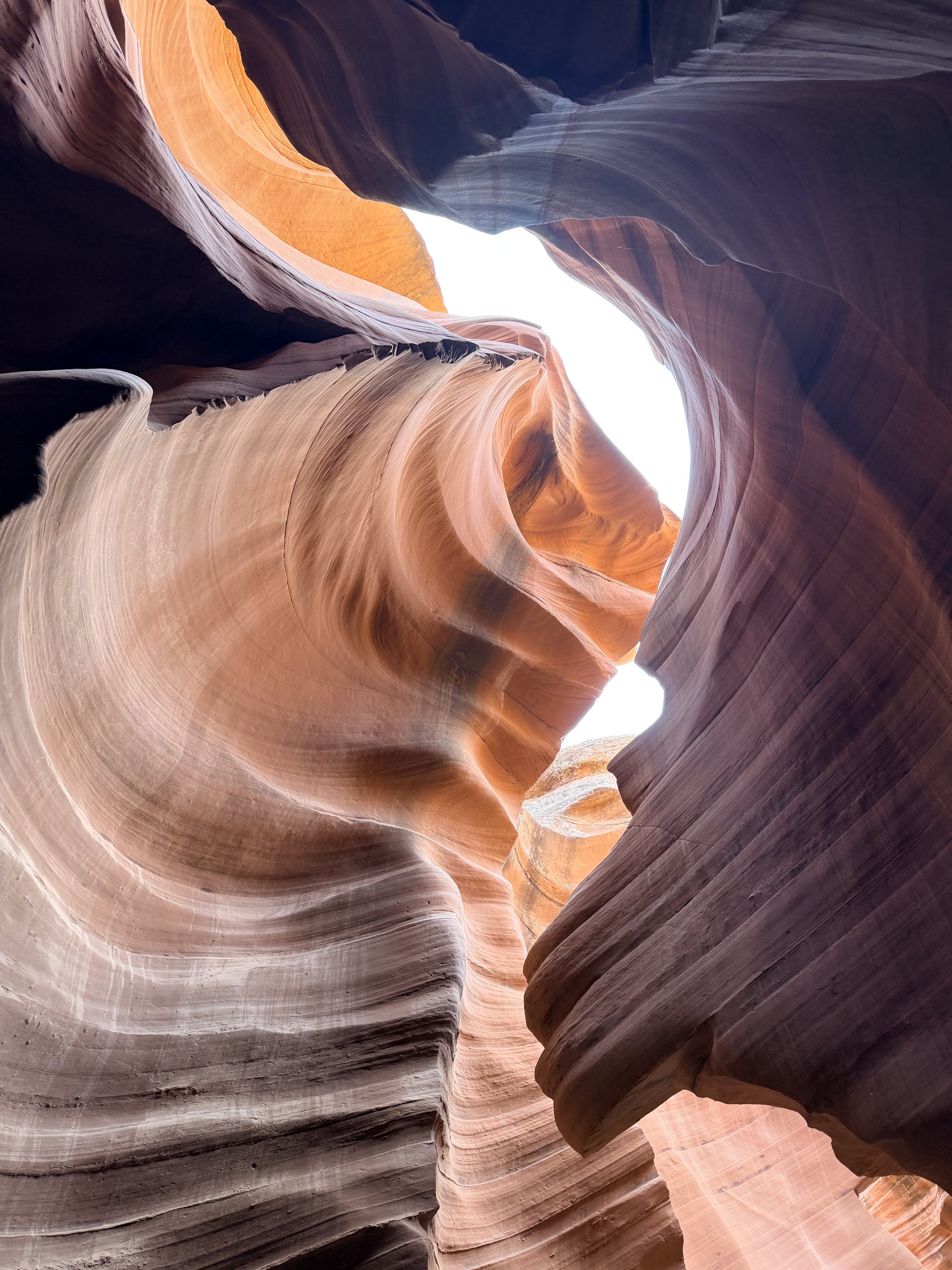 Lower Antelope